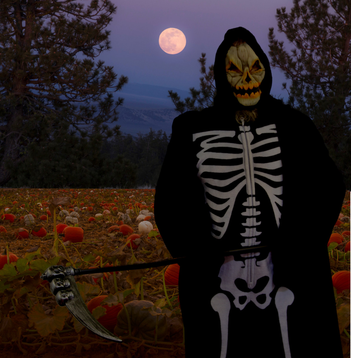 Full moon harvest